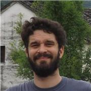 Insegnante di storia per qualunque livello